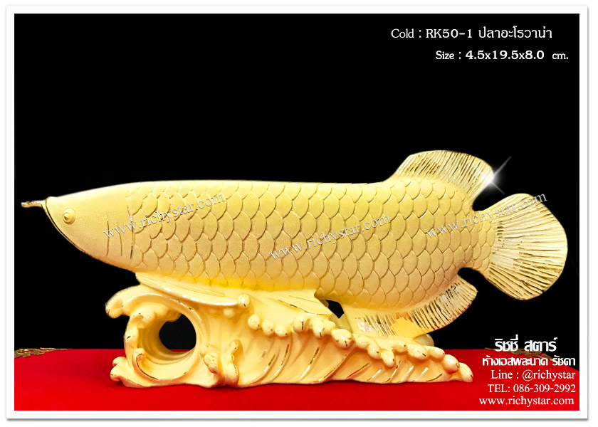 ปลามังกร ปลาอะโรวาน่า ปลามงคล ปลามงคลจีน สัตว์มงคลจีน ของขวัญปีใหม่2014 ของขวัญปีใหม่2557 ของขวัญผู้ใหญ่ ของขวัญพรีเมียม ของขวัญเปิดบริษัท